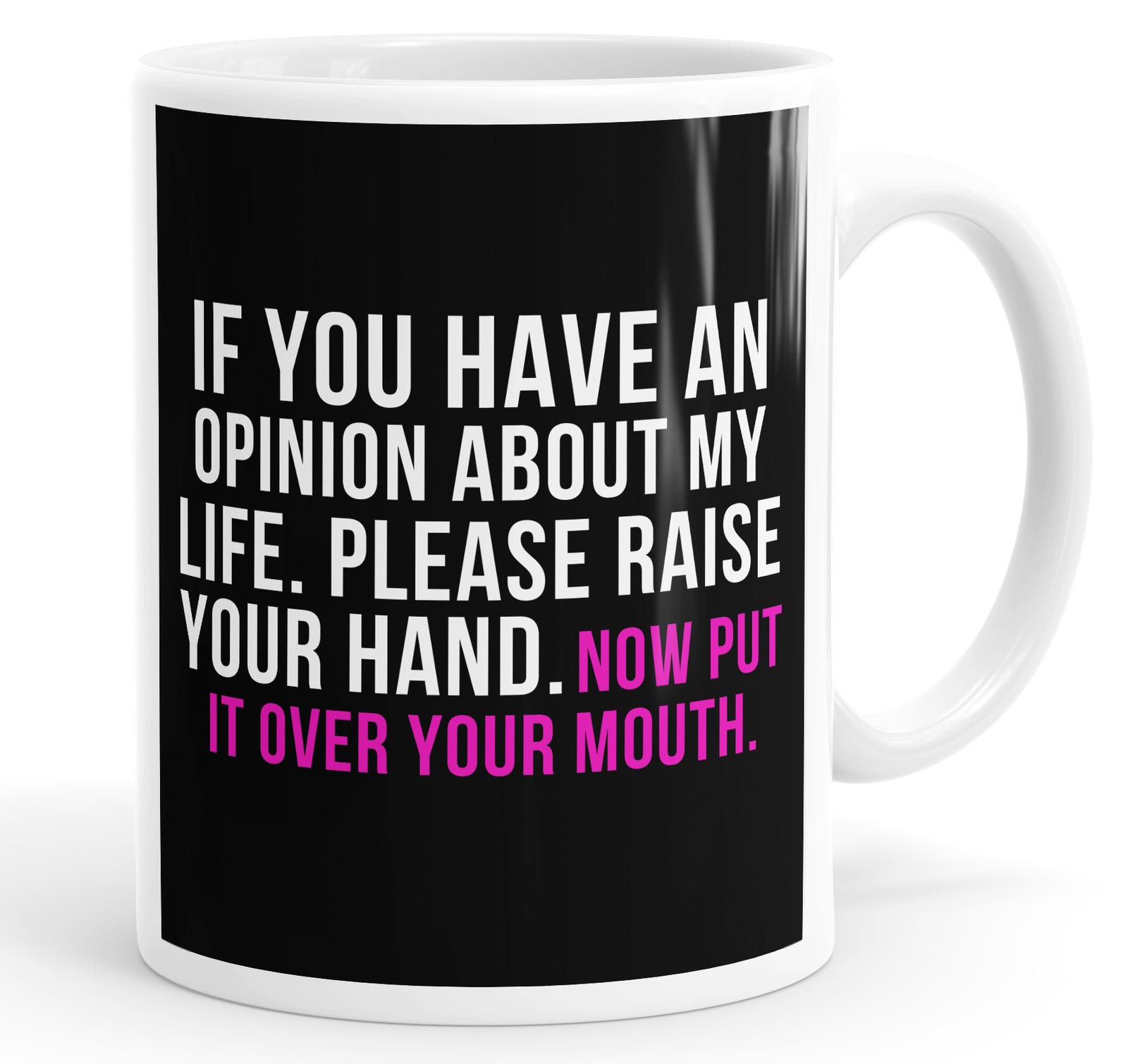 If You Have An Poinion About My Life Please Raise Your Hand. Now Put It Over Your Mouth Mug Cup
