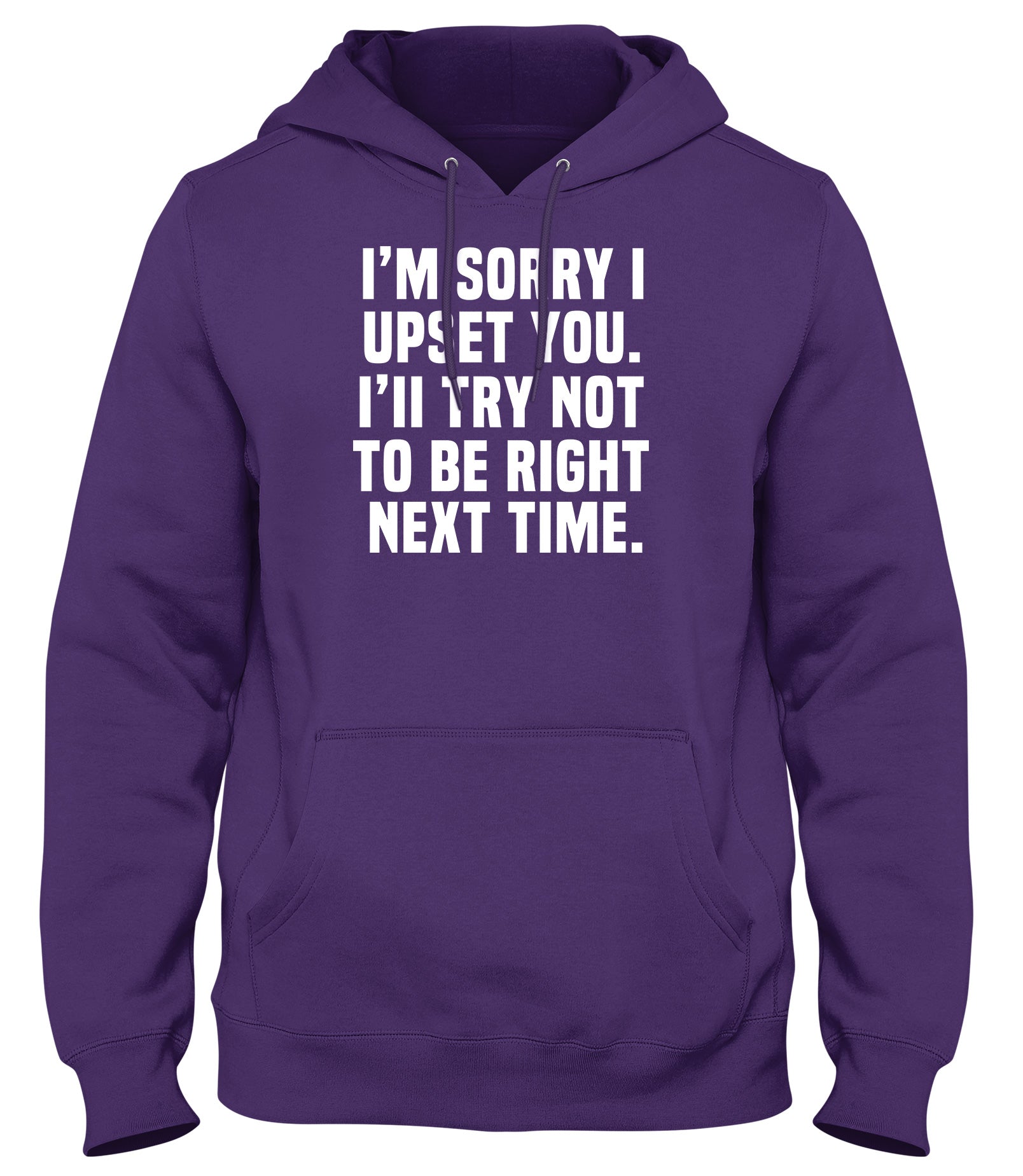 I'M SORRY I UPSET YOU. I'LL TRY NOT TO BE RIGHT NEXT TIME MENS WOMENS UNISEX FUNNY HOODIE