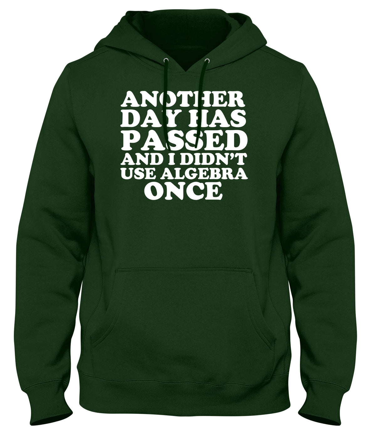 ANOTHER DAY HAS PASSED AND I DIDN&#39;T USE ALGEBRA ONCE WOMENS LADIES MENS UNISEX HOODIE