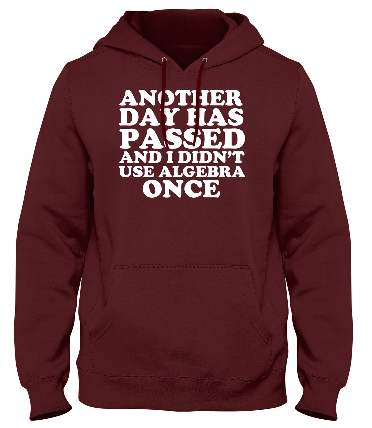 ANOTHER DAY HAS PASSED AND I DIDN&#39;T USE ALGEBRA ONCE WOMENS LADIES MENS UNISEX HOODIE