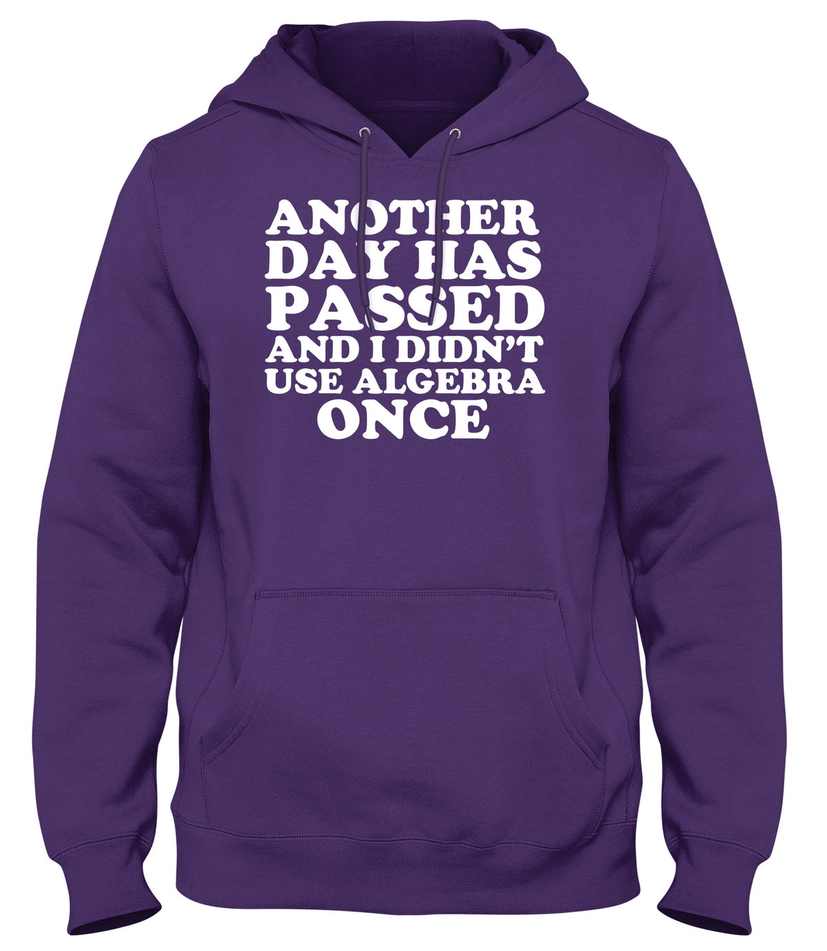 ANOTHER DAY HAS PASSED AND I DIDN&#39;T USE ALGEBRA ONCE WOMENS LADIES MENS UNISEX HOODIE