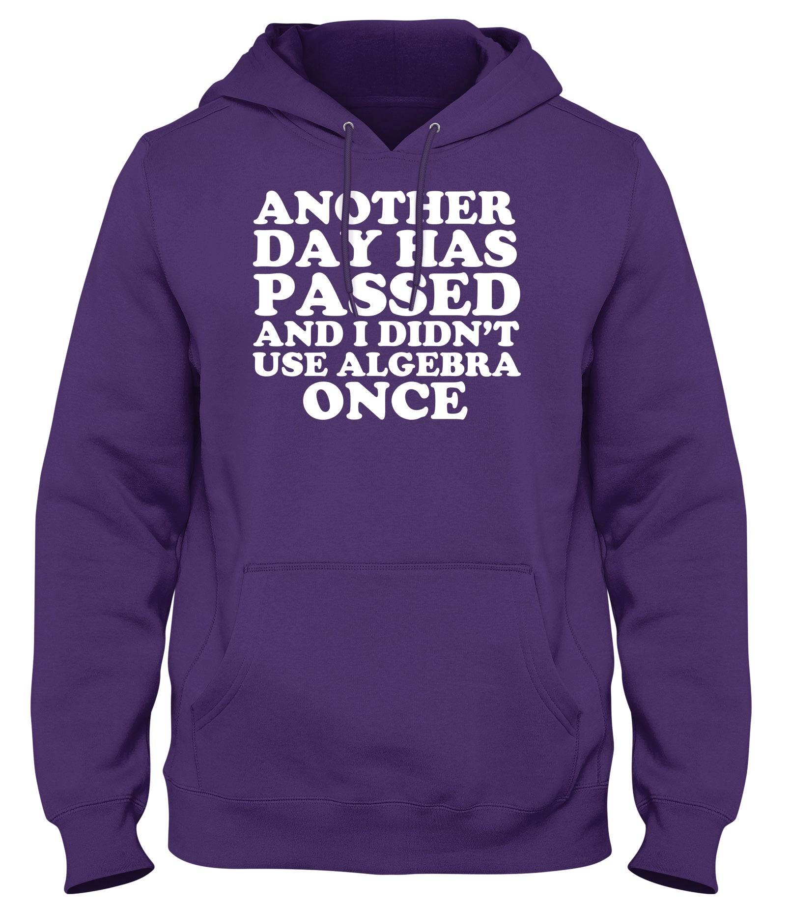 ANOTHER DAY HAS PASSED AND I DIDN'T USE ALGEBRA ONCE WOMENS LADIES MENS UNISEX HOODIE