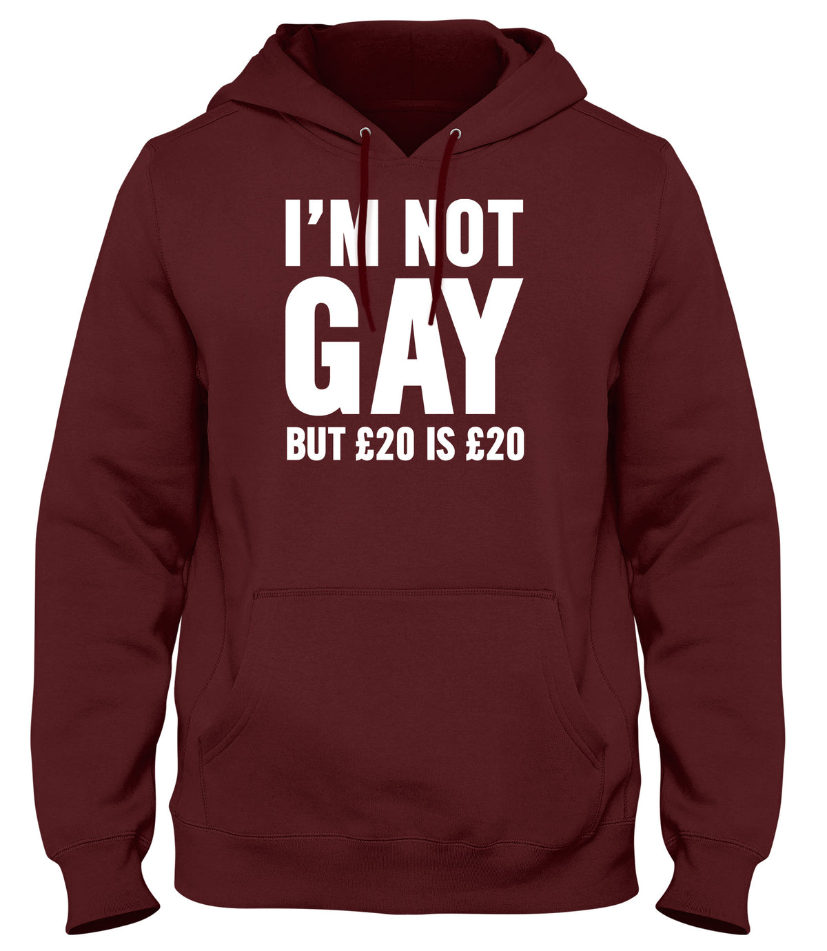 I&#39;M NOT GAY BUT £20 IS £20 MENS WOMENS LADIES UNISEX FUNNY SLOGAN HOODIE
