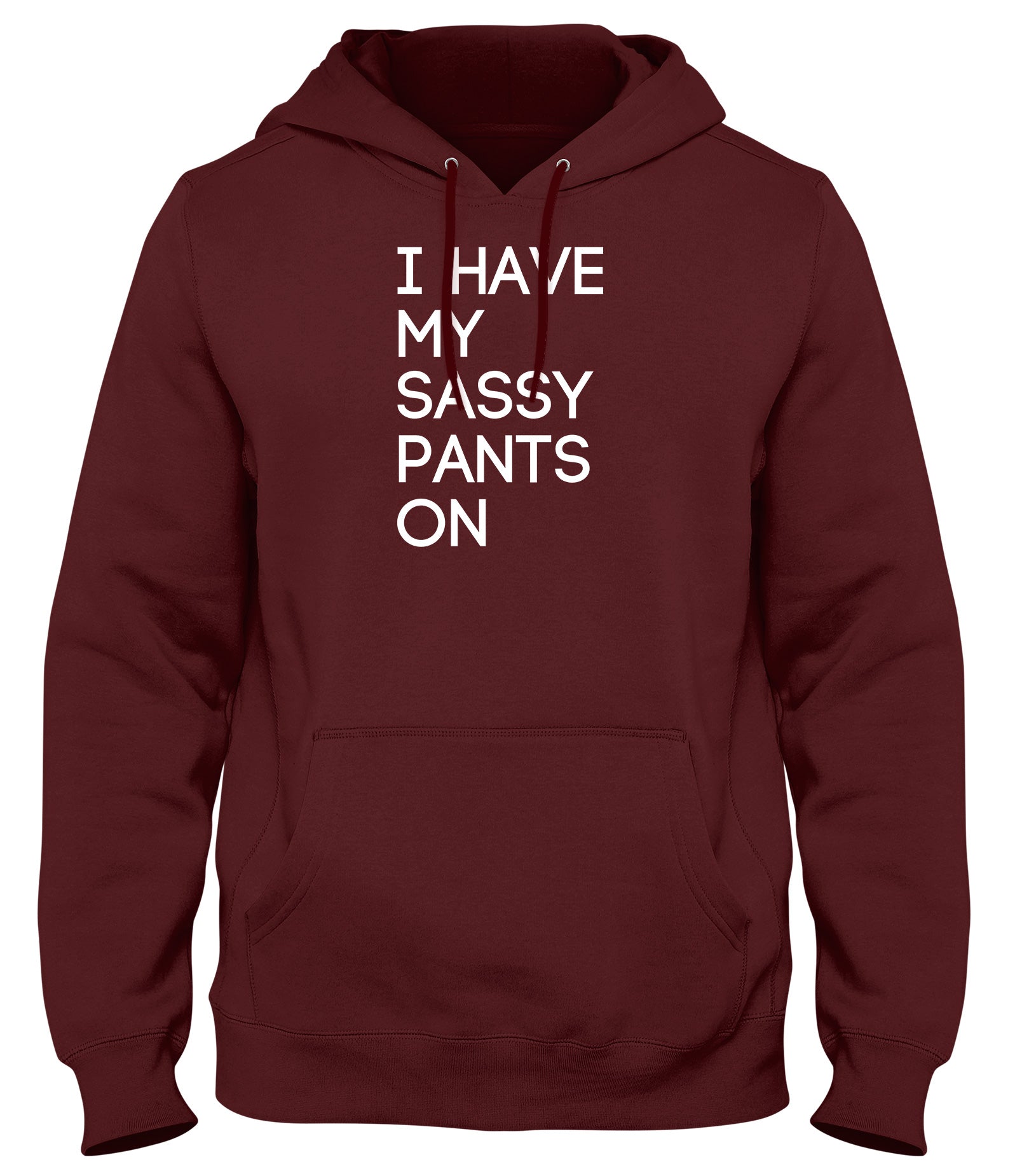 I HAVE MY SASSY PANTS ON MENS WOMENS UNISEX FUNNY HOODIE