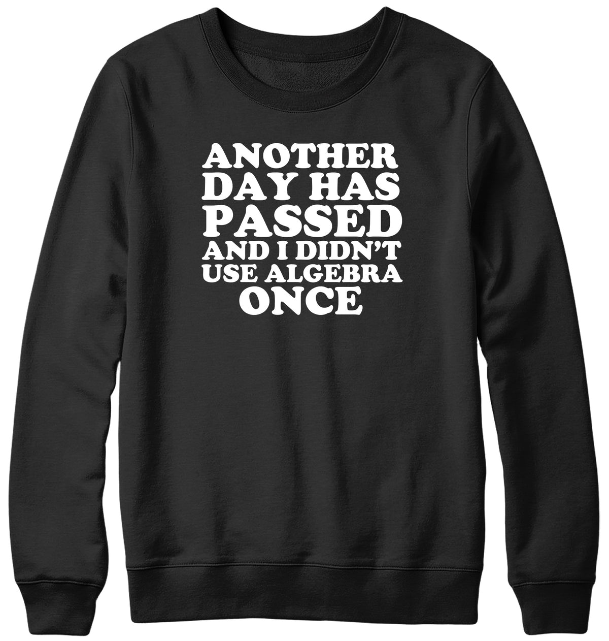 ANOTHER DAY HAS PASSED AND I DIDN&#39;T USE ALGEBRA ONCE WOMENS LADIES MENS UNISEX SWEATSHIRT
