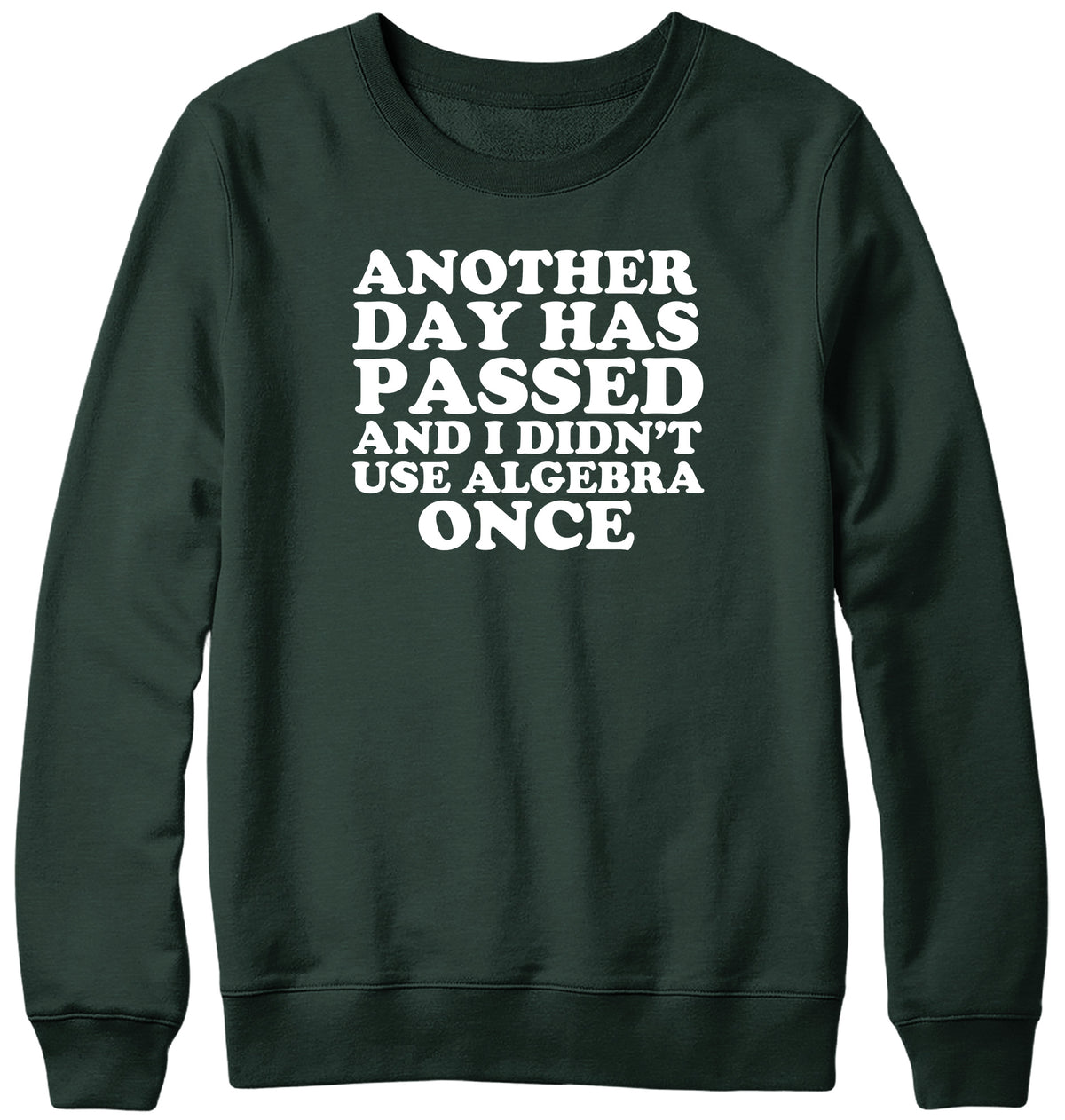ANOTHER DAY HAS PASSED AND I DIDN&#39;T USE ALGEBRA ONCE WOMENS LADIES MENS UNISEX SWEATSHIRT