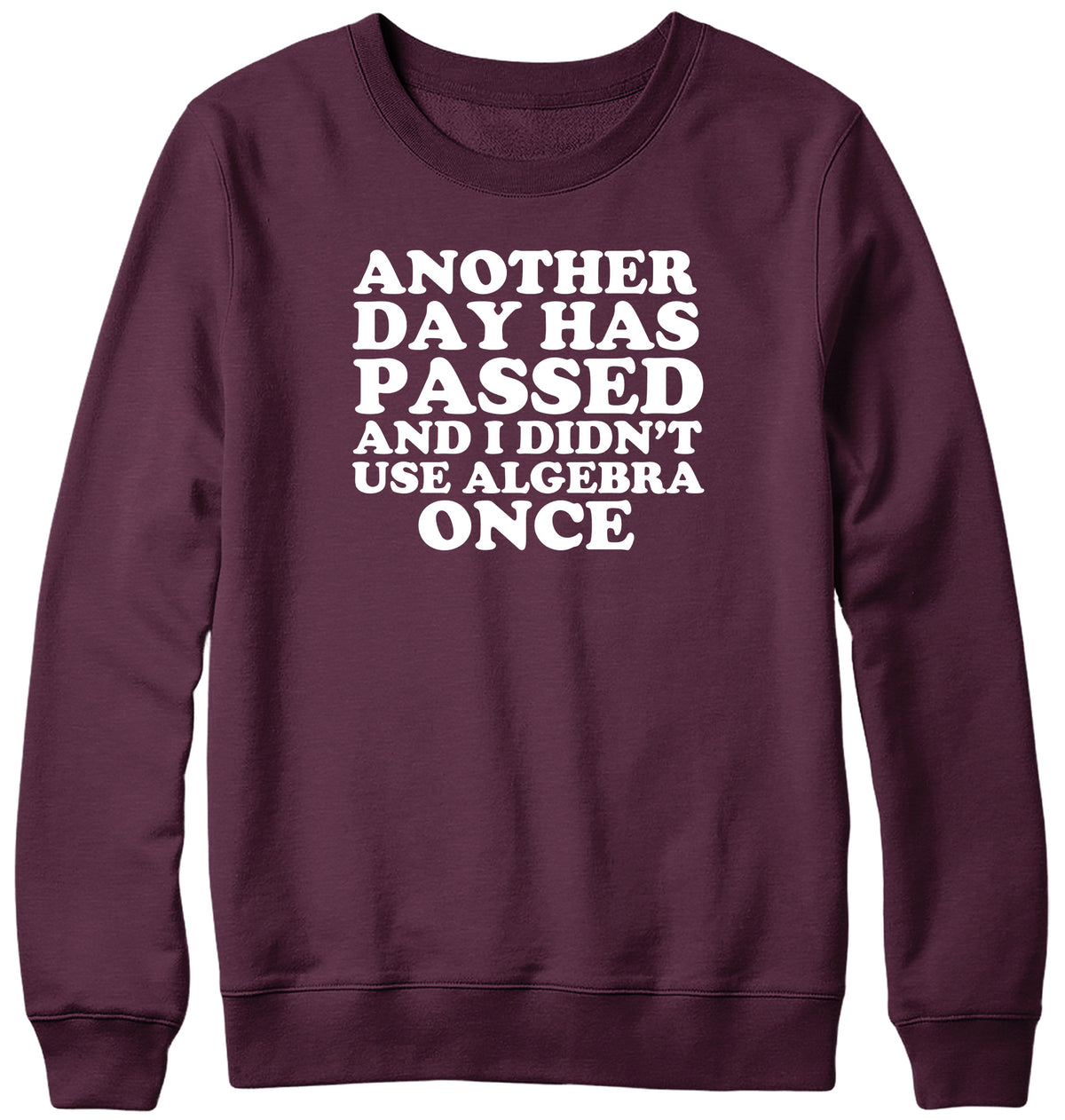 ANOTHER DAY HAS PASSED AND I DIDN&#39;T USE ALGEBRA ONCE WOMENS LADIES MENS UNISEX SWEATSHIRT