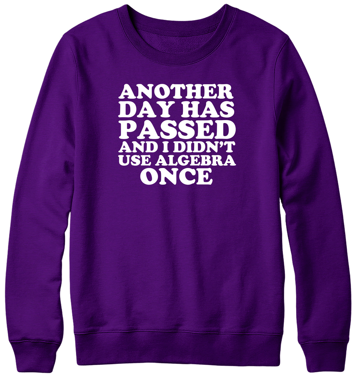 ANOTHER DAY HAS PASSED AND I DIDN&#39;T USE ALGEBRA ONCE WOMENS LADIES MENS UNISEX SWEATSHIRT