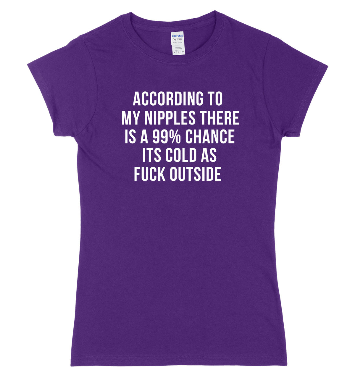 According To My Nipples There Is A 99% Chance It&#39;s Cold Outside Womens Ladies Slim Fit T-Shirt
