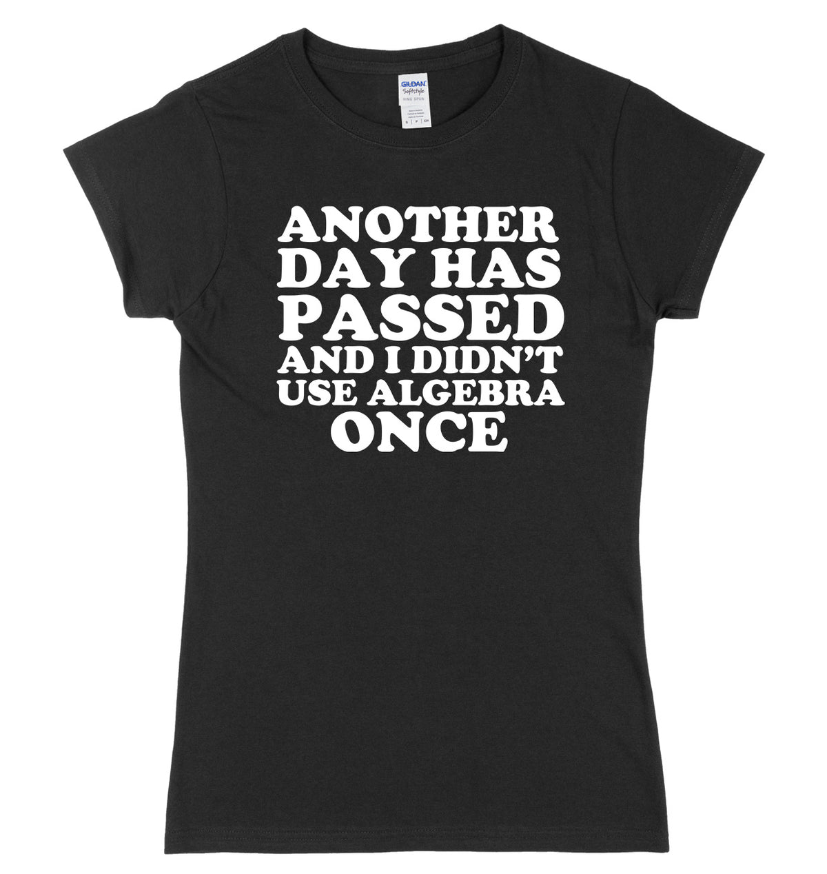 Another Day Has Passed And I Didn&#39;t Use Algebra Once Womens Ladies Slim Fit T-Shirt