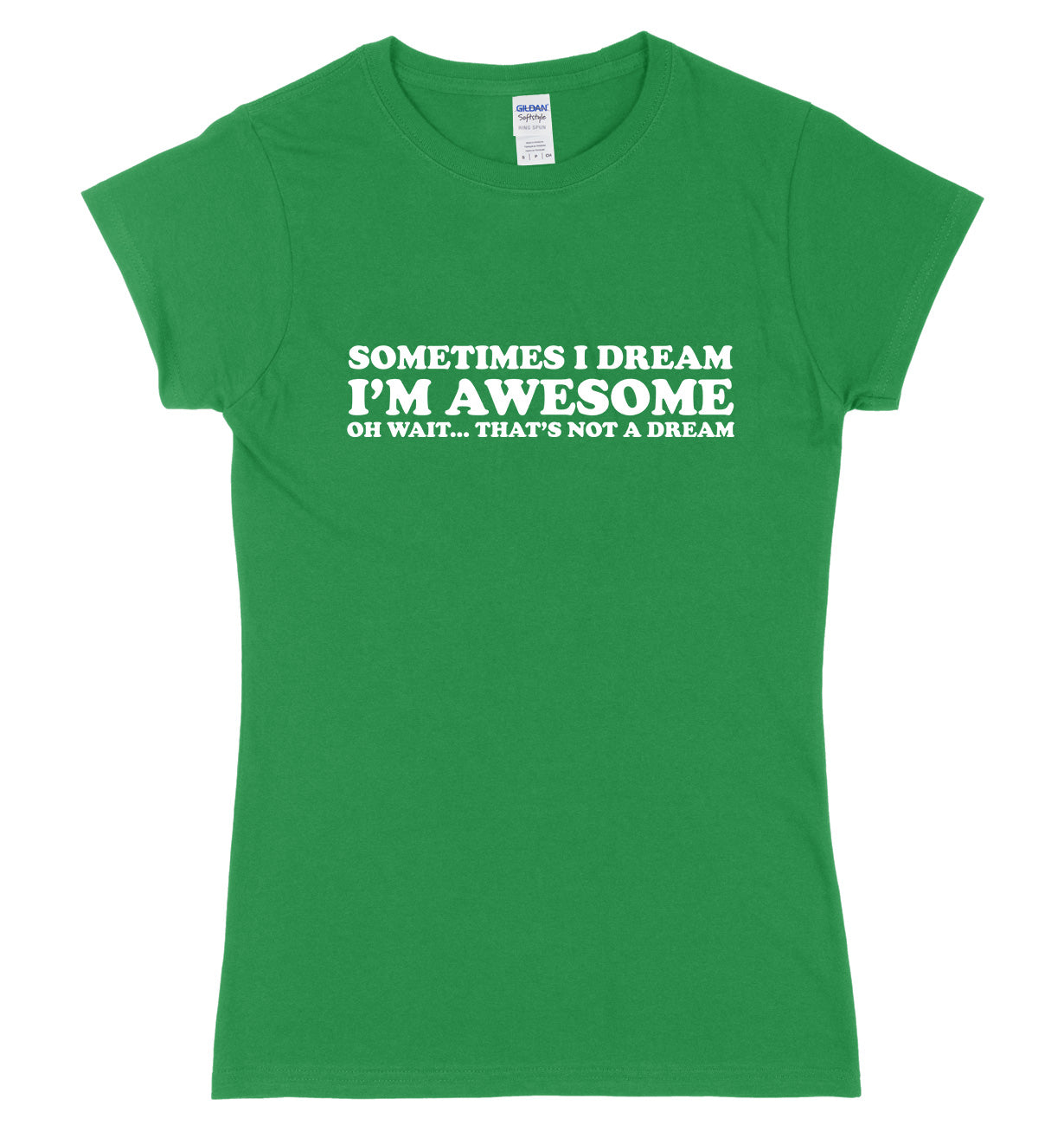 Sometimes I Dream I'm Awesome Oh Wait...That's Not A Dream Womens Ladies Slim Fit T-Shirt