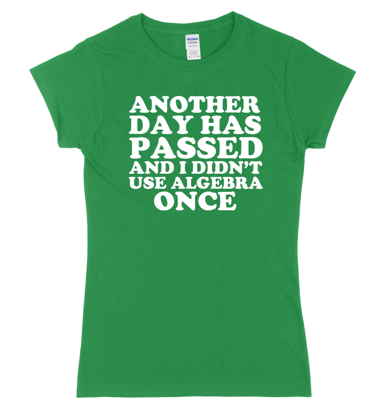 Another Day Has Passed And I Didn't Use Algebra Once Womens Ladies Slim Fit T-Shirt