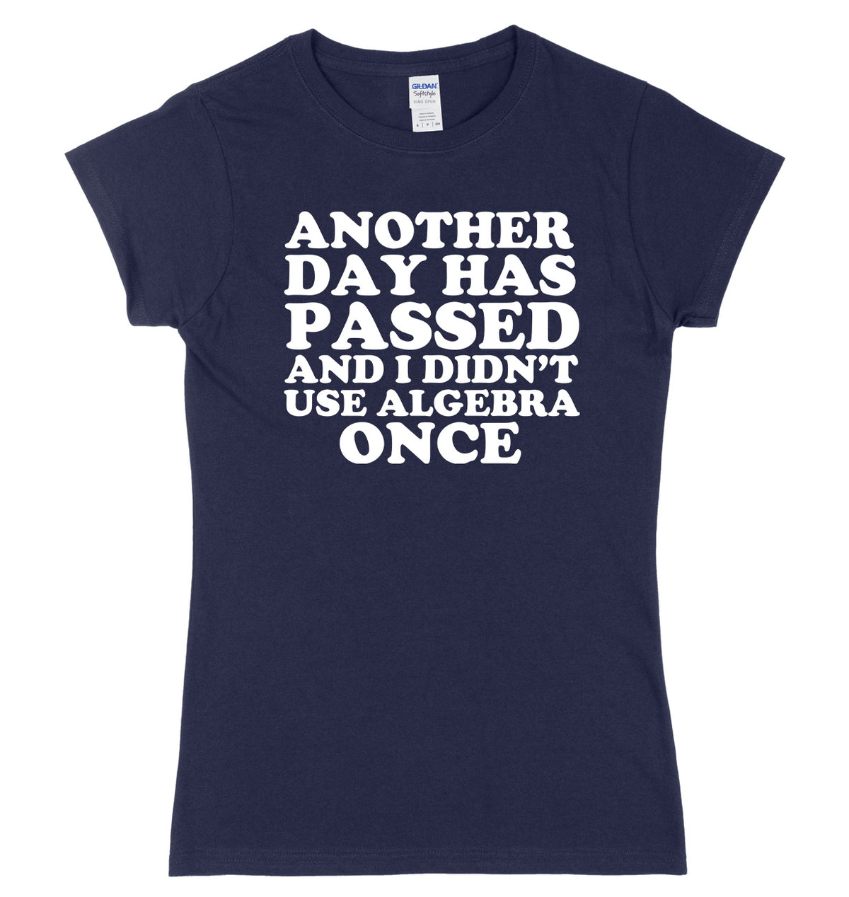 Another Day Has Passed And I Didn&#39;t Use Algebra Once Womens Ladies Slim Fit T-Shirt