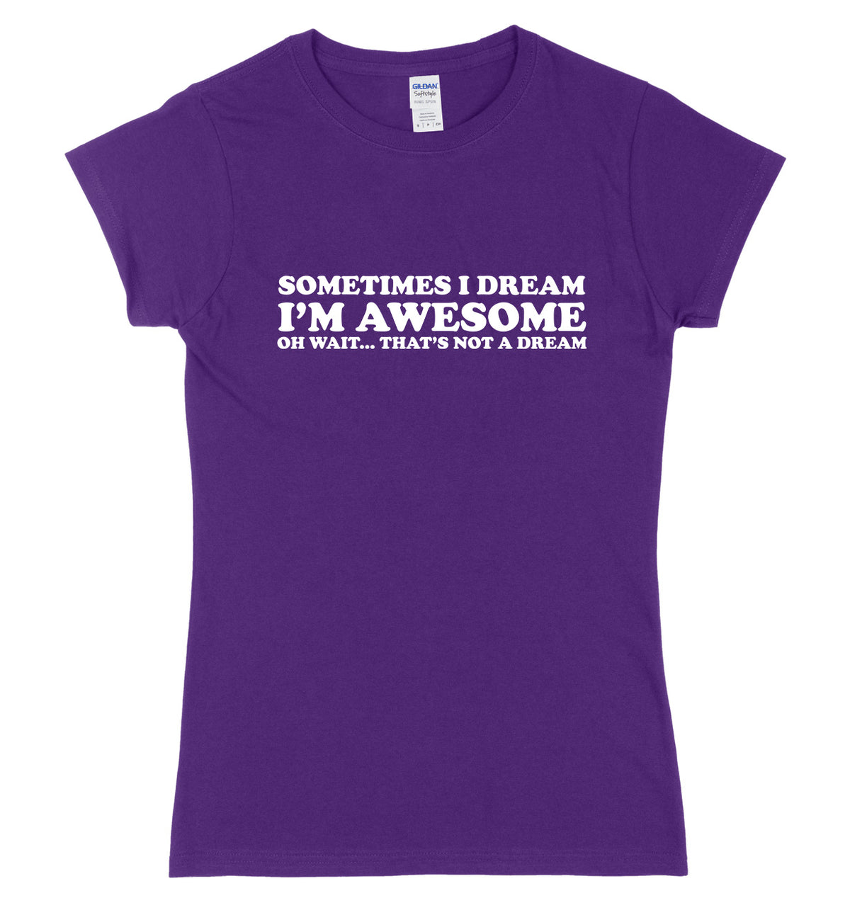 Sometimes I Dream I&#39;m Awesome Oh Wait...That&#39;s Not A Dream Womens Ladies Slim Fit T-Shirt